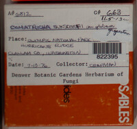 Image Associated With the Occurence
